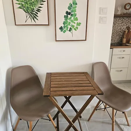 Apartament Srdanovic *