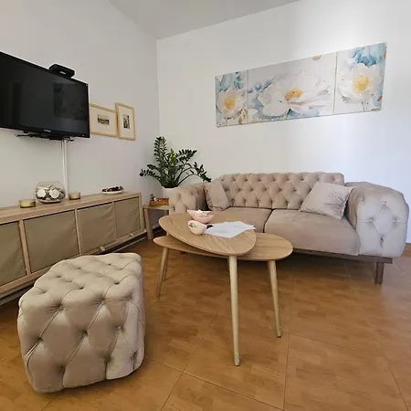 Apartament Srdanovic *